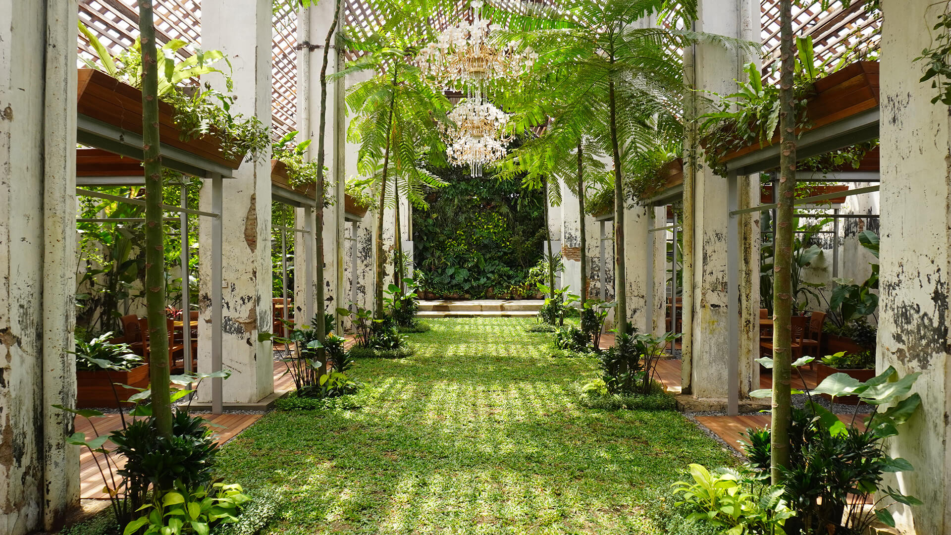 gallery - 5